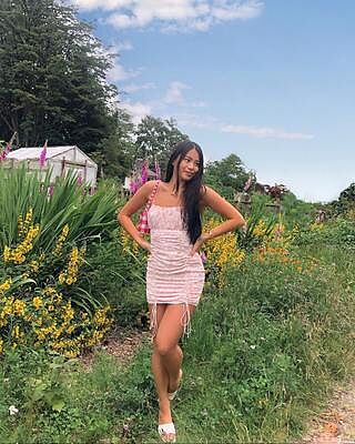 ivy hollow mini dress