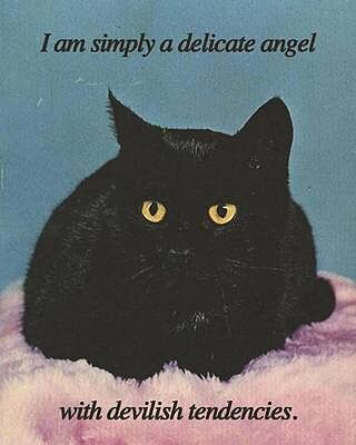 Magical Cat Necklace