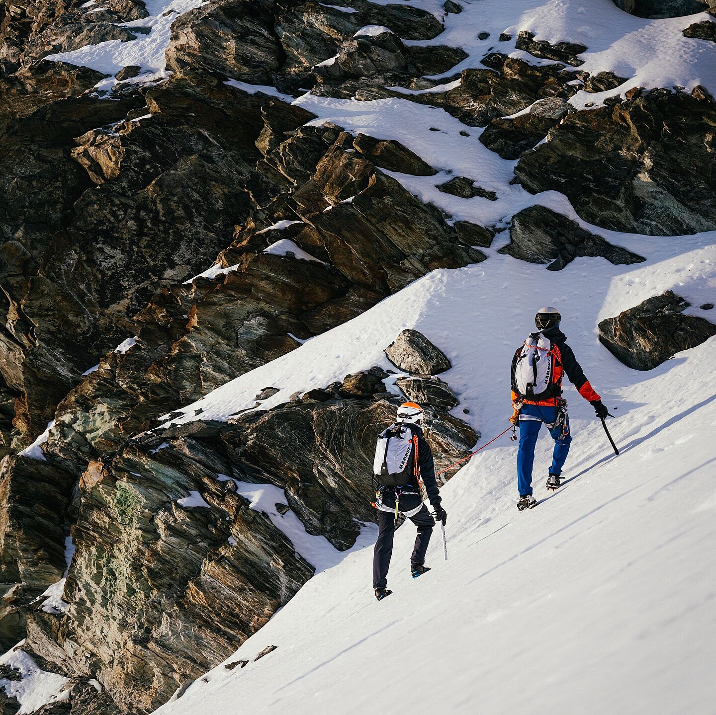 Trion 28 | Mammut