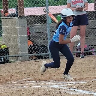 GASOLÍNEA USSSA/USA FULL COMPOSITE FASTPITCH BAT