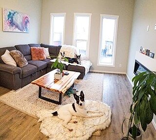 PupRug® Orthopedic Bed + Matching Waterproof Blanket Bundle - White with Brown Accents