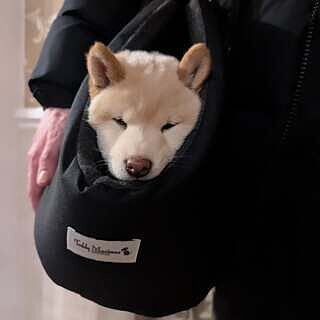 'The Adventurer' Waterproof Adjustable Luxury Dog Carrier