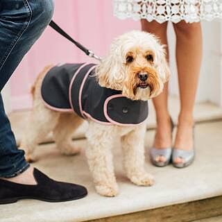 'The Melody' Grey & Pink Luxury Dog Coat