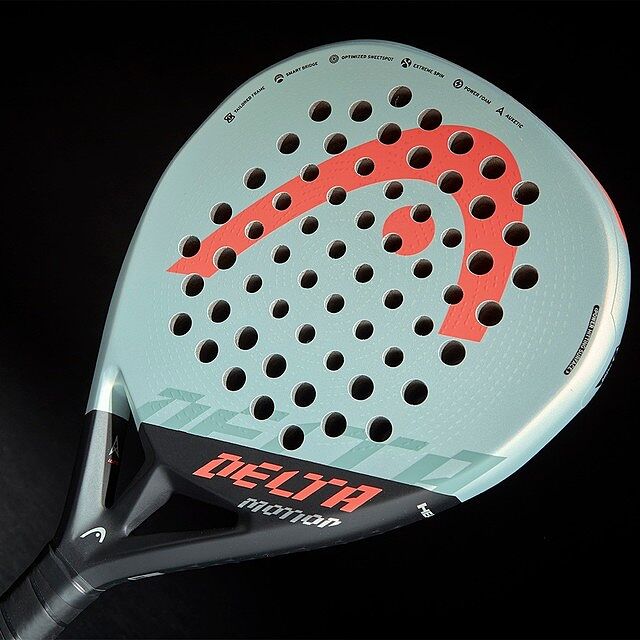 Delta Motion 2022