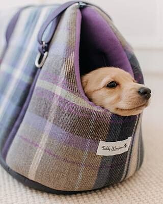 The Cambridge Adjustable Purple Taupe Soft Sided Luxury Dog Carrier
