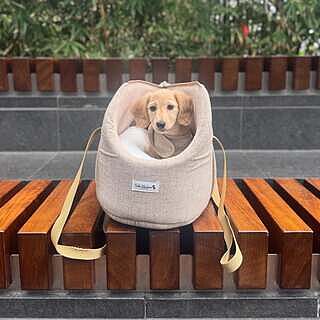 'The Richmond' Biscuit Taupe Beige Luxury Dog Carrier