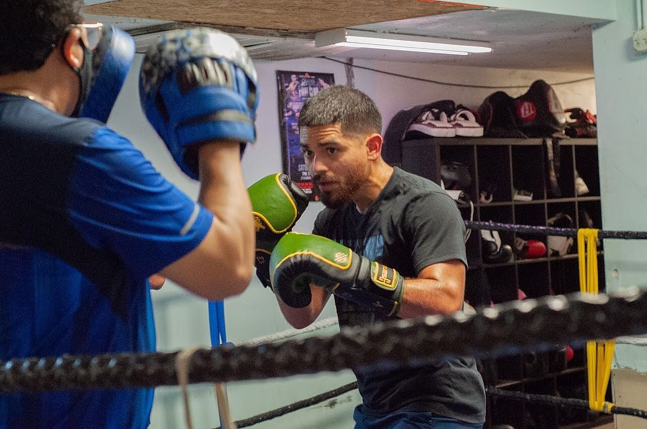 Los Cactus Boxing Gloves | Sanabul