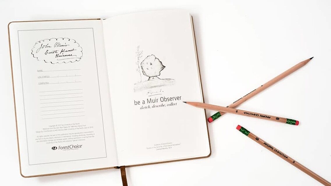 ForestChoice #2 Graphite Pencils (12 Pack)