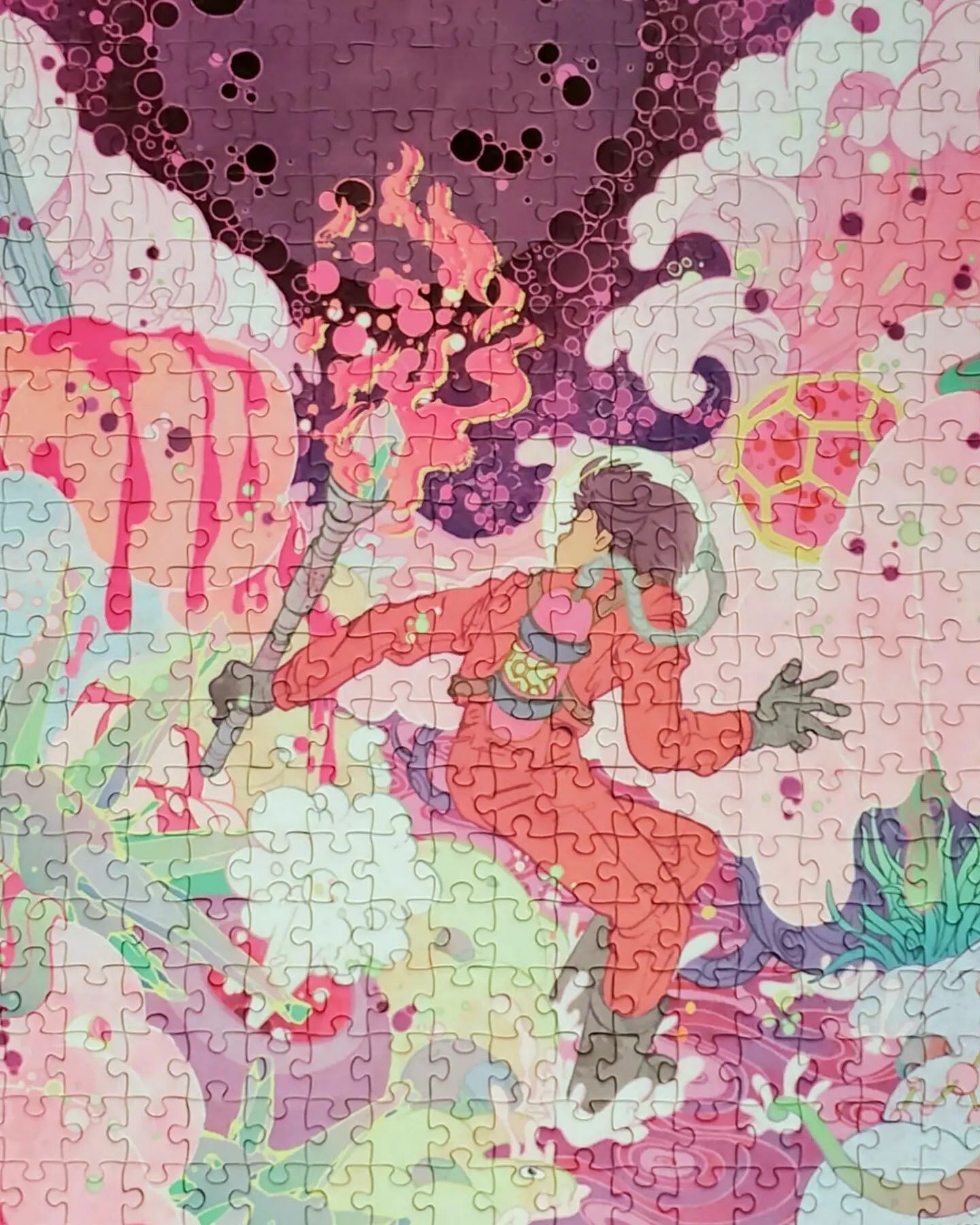500 PIECE PUZZLE: EXPLORER