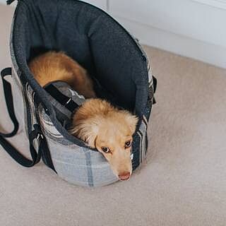 The Belgravia Adjustable Black Plaid Tweed Luxury Dog Carrier