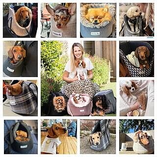 'The Richmond' Biscuit Taupe Beige Luxury Dog Carrier