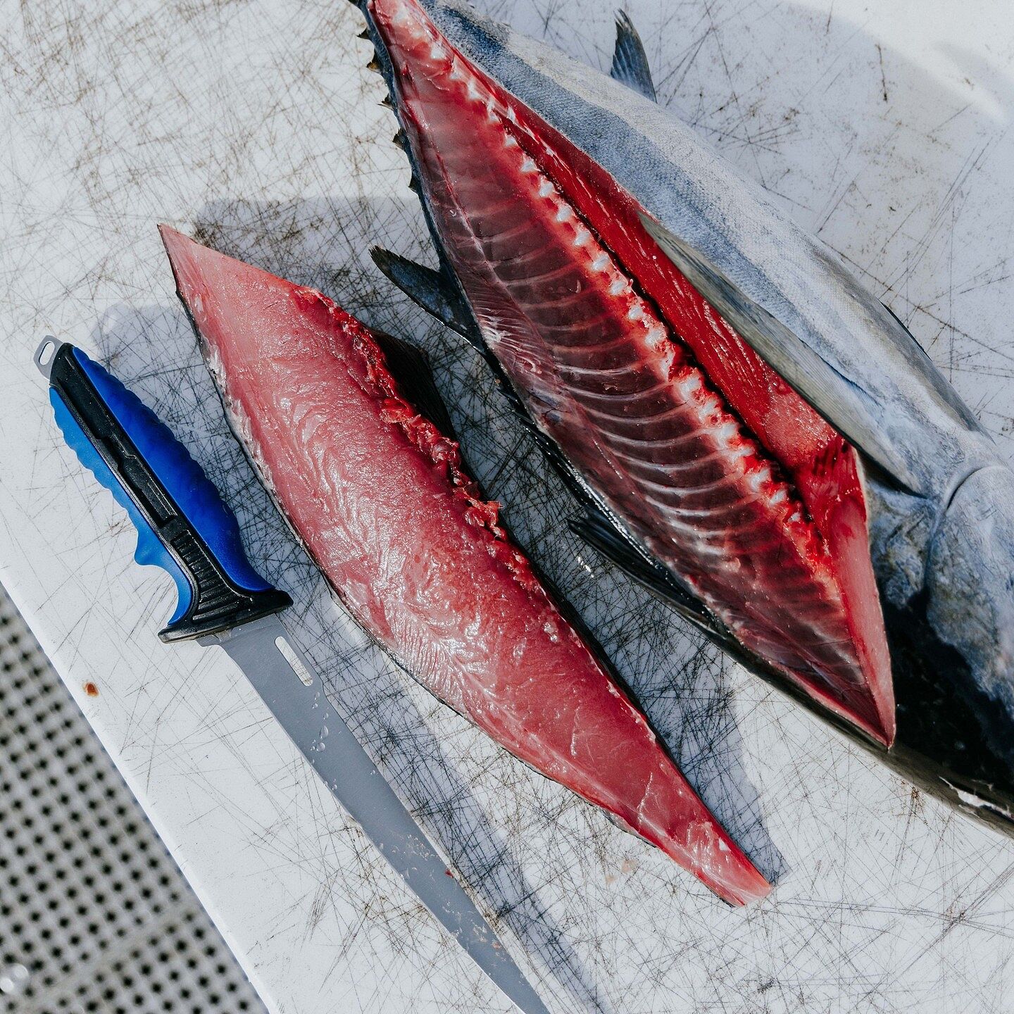 Mustad Fishing | 7