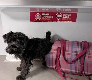 Pink Sheltie Adjustable Plaid Luxury Dog Carrier