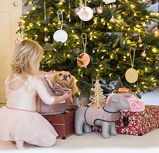 The 'Queen Bee' Dusky Pink Luxury Dog Carrier