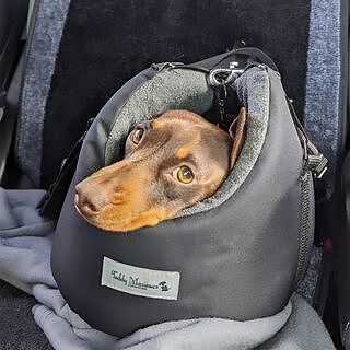 'The Adventurer' Waterproof Adjustable Luxury Dog Carrier