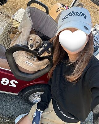 NEW! The Chelsea Champagne Quilted Dog Carrier