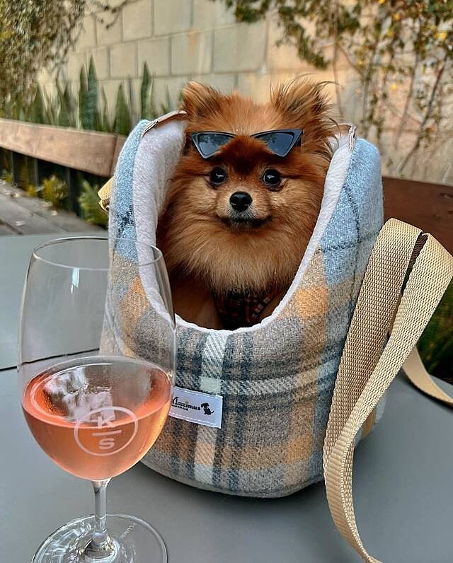 Sand Sheltie Adjustable Plaid Tweed Luxury Dog Carrier