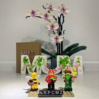 LEGO® Orchid