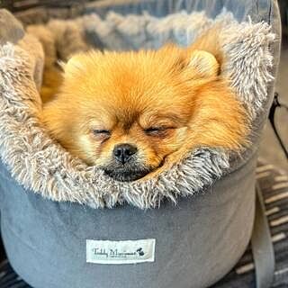 'The Louis' Luxe Grey Velvet Luxury Dog Carrier