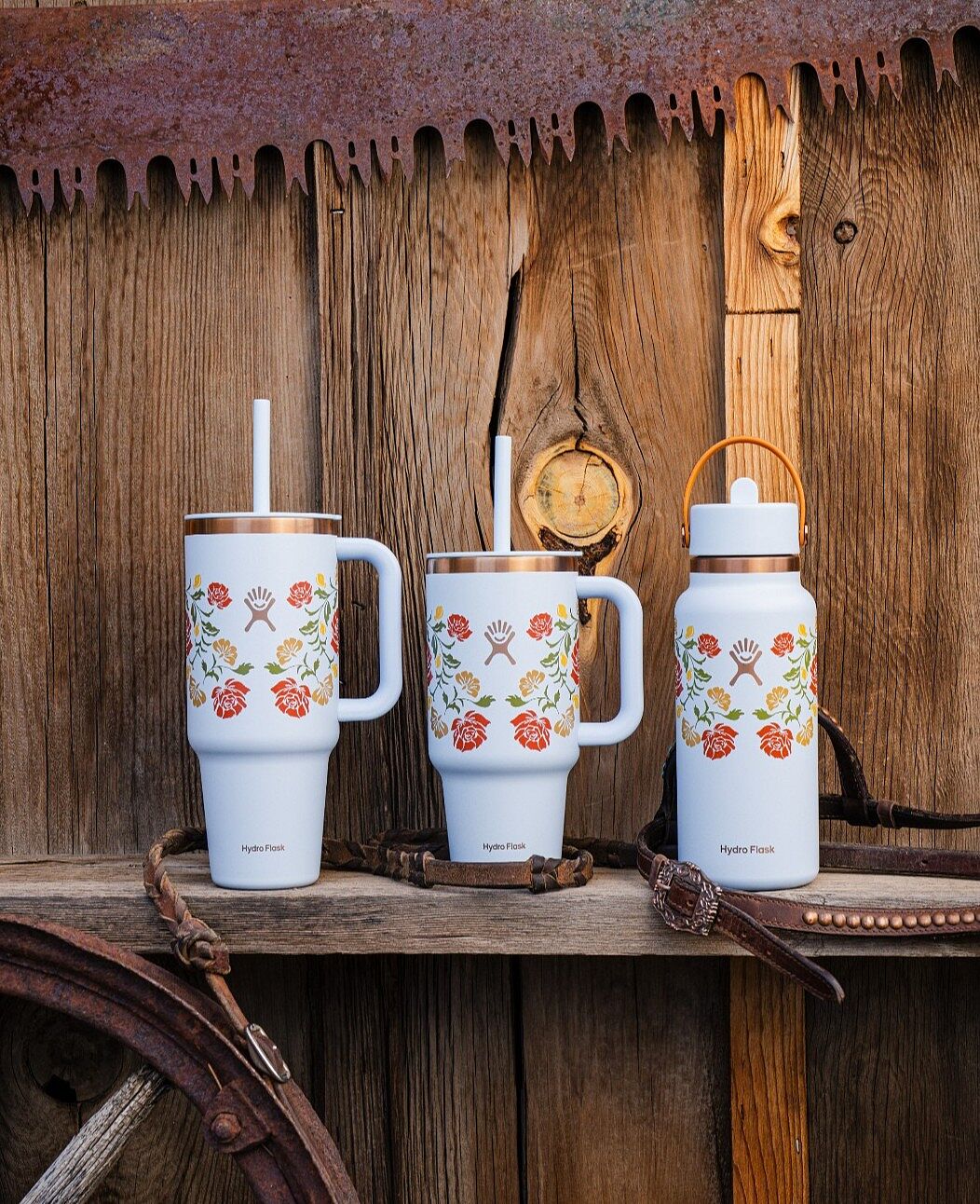 Hydro Flask Outdoor Kitchen 皿・ボウルセット Outdoor Kitchen: Outdoor Dinnerware Sets | Hydro Flask