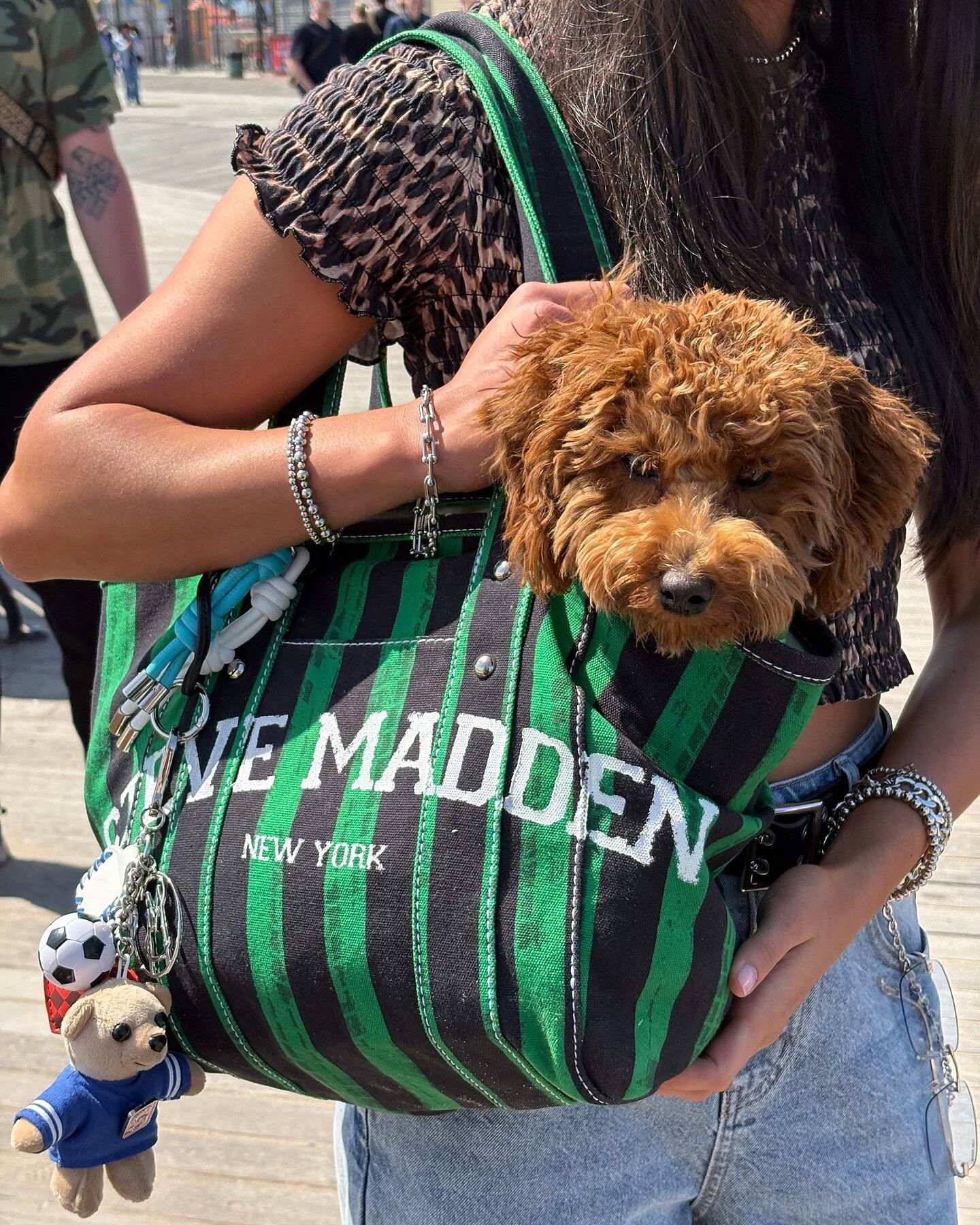Shop Blue/Green Steve Madden Online | Nordstrom Rack