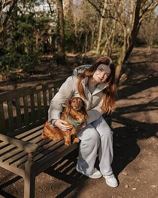 Explorer NEW! Olive Buckle Dog Harness