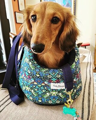 Strawberry Thief Adjustable Luxury Dog Carrier