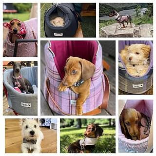 'The Marylebone' Light Grey Luxury Dog Carrier