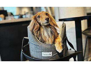 'The James' Charcoal Grey Luxury Dog Carrier