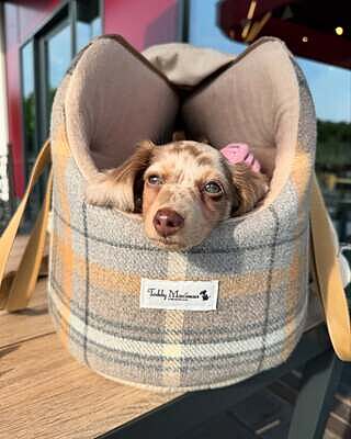 Sand Sheltie Adjustable Plaid Tweed Luxury Dog Carrier