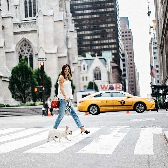 'The Rose' Pink Champagne Dog Lead