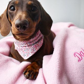 Pink Personalised Fleece Luxury Dog Blanket