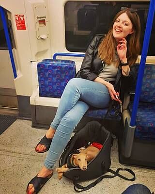 'The Adventurer' Waterproof Adjustable Luxury Dog Carrier