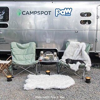 PupRug® Orthopedic Bed + Matching Waterproof Blanket Bundle - White with Brown Accents