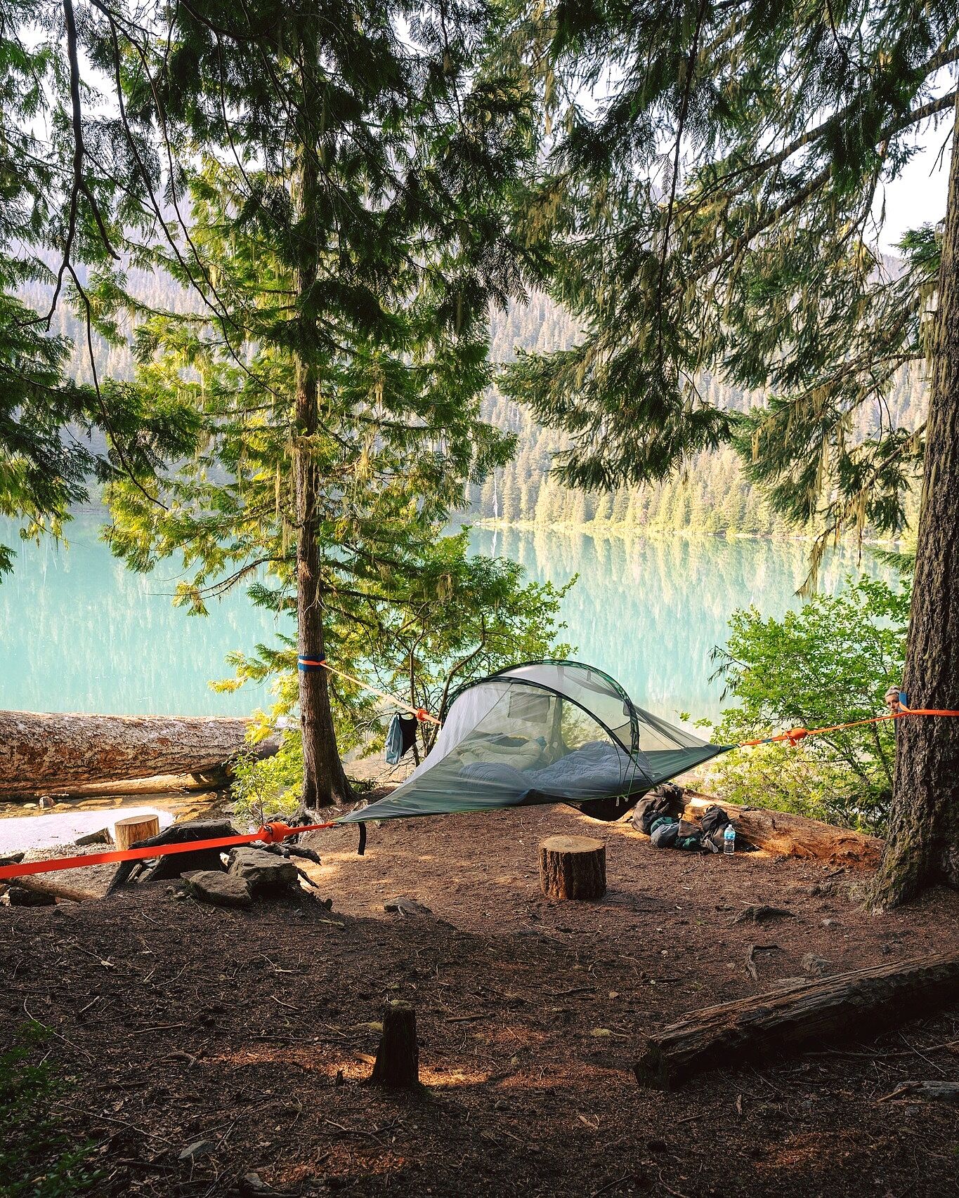 Tentsile | The Original Tree Tent & Camping Hammock Company