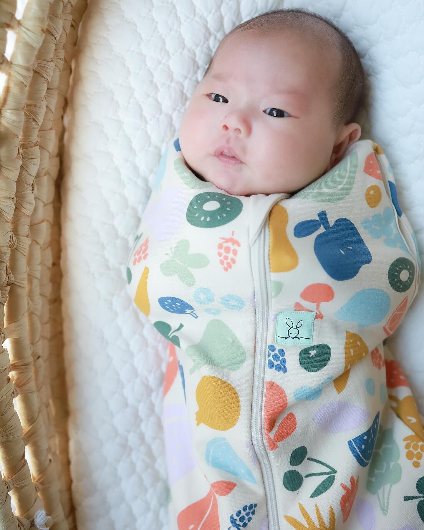 数量限定NEW*Cocoon Swaddle Bag 1.0TOG コクーンスワドルバッグ 数量限定NEW*Cocoon Swaddle Bag 1.0TOG コクーンスワドルバッグ