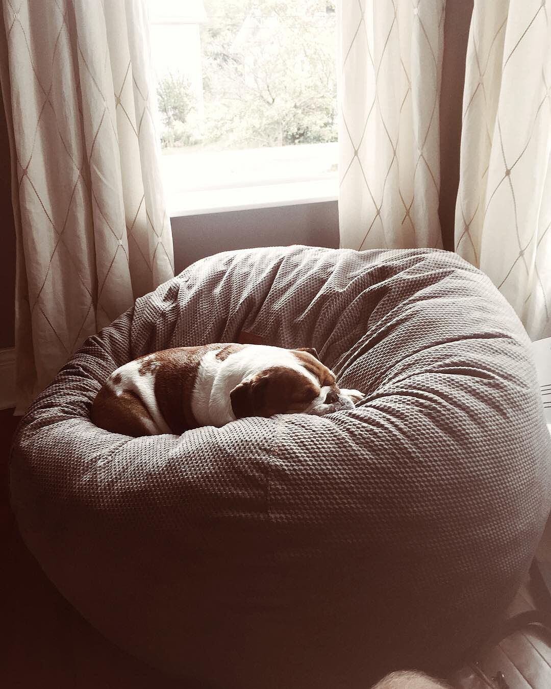Cordaroy S Convertible Bean Bags There A Bed Inside
