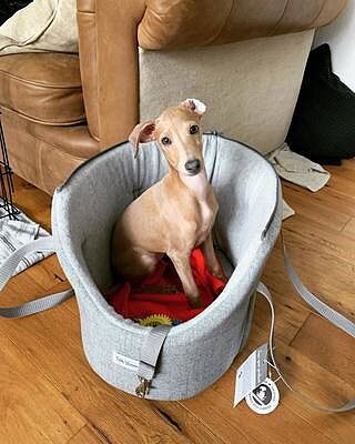 'The Marylebone' Light Grey Luxury Dog Carrier