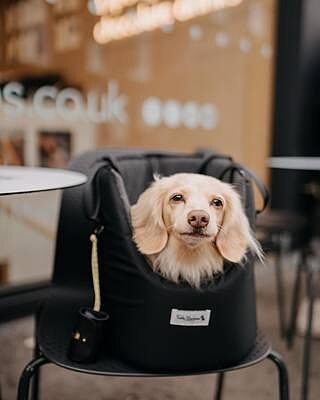 'The Adventurer' Waterproof Adjustable Luxury Dog Carrier