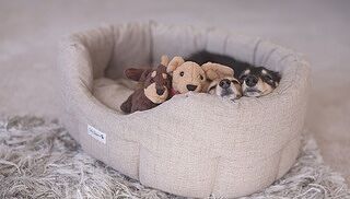 'The Richmond' Deco Nest Luxury Oval Dog Bed