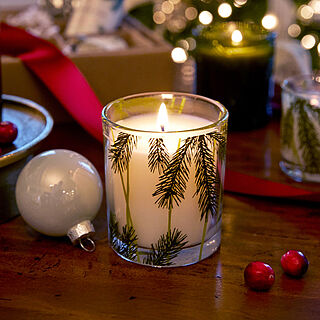 Frasier Fir® Pine Needle Votive Candle