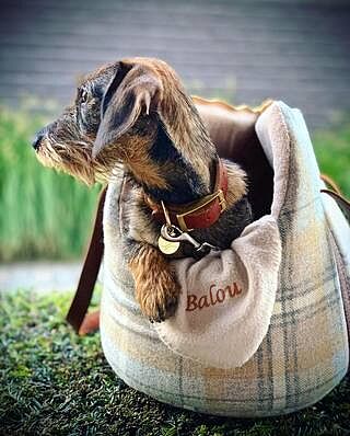 Sand Sheltie Luxury Dog Carrier