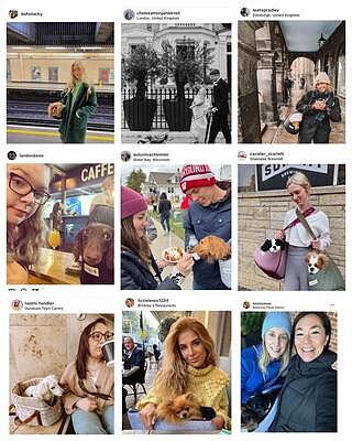 Sand Sheltie Luxury Dog Carrier