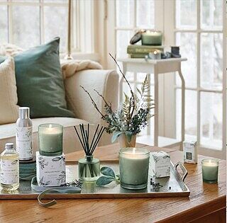 金太郎　アイランドミント&フランキンセンス15mL Highland Frost Boxed Votive Candle | Thymes