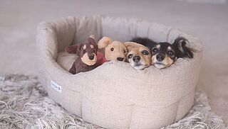 'The Richmond' Deco Nest Luxury Oval Dog Bed