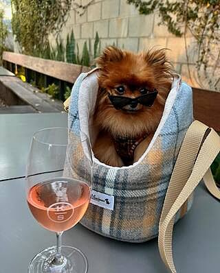 Sand Sheltie Adjustable Plaid Tweed Luxury Dog Carrier