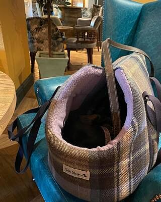 The Cambridge Adjustable Purple Taupe Soft Sided Luxury Dog Carrier