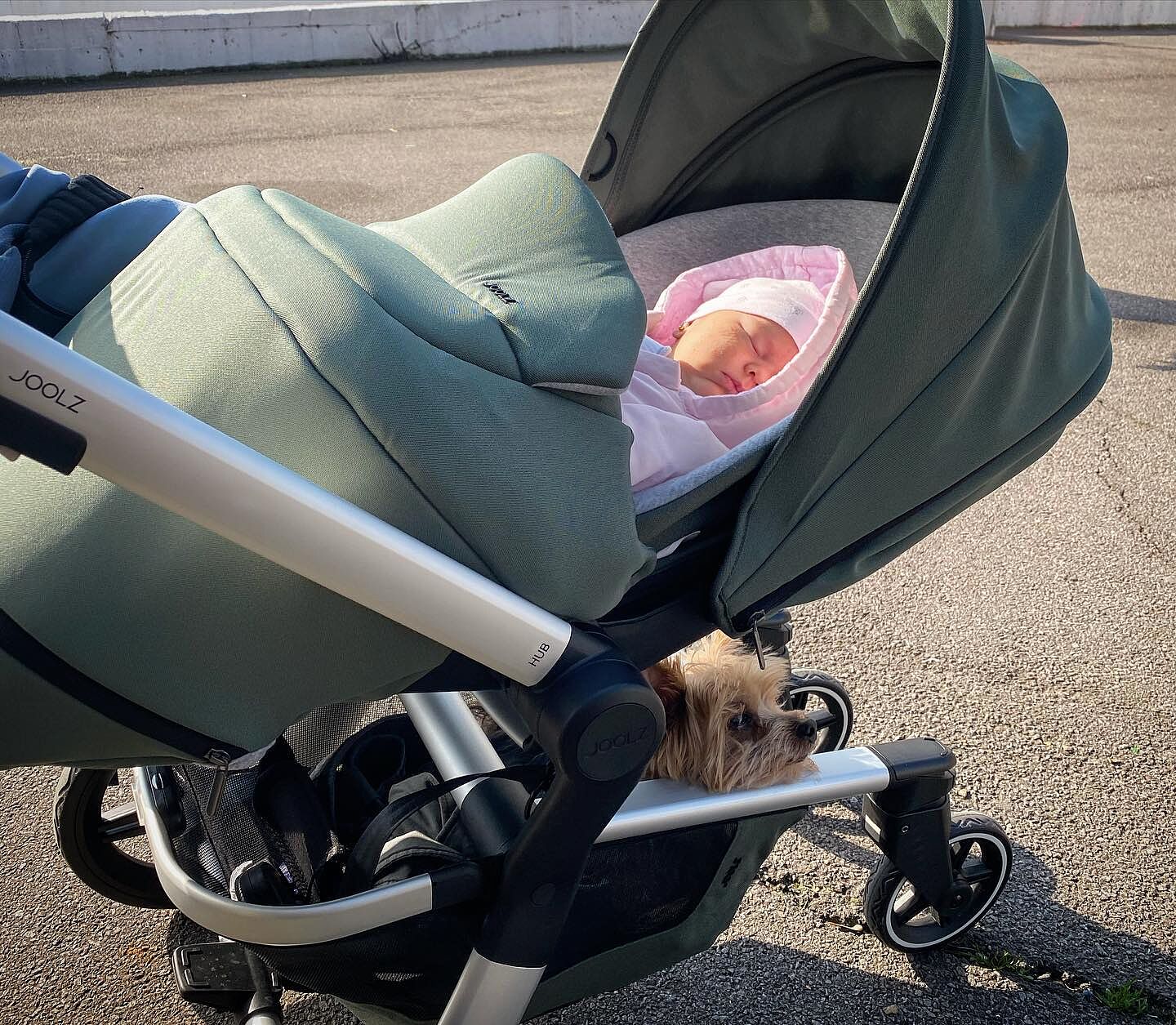 joolz hub with cocoon