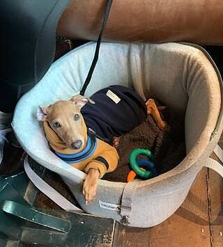 'The James' Charcoal Grey Luxury Dog Carrier