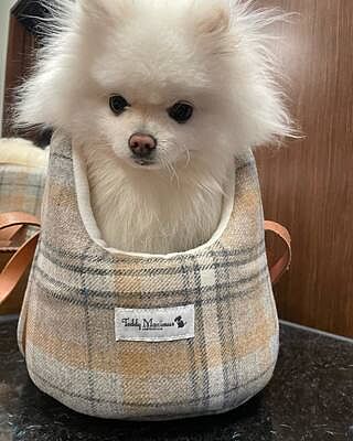 Sand Sheltie Luxury Dog Carrier